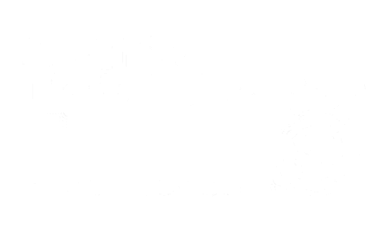Google partners Digital Champions sertifikatas