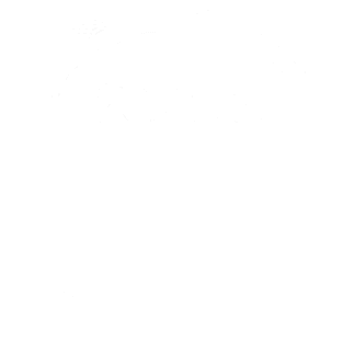 Meta Creative strategy professional sertifikatas