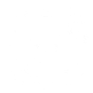 Google ads search sertifikatas