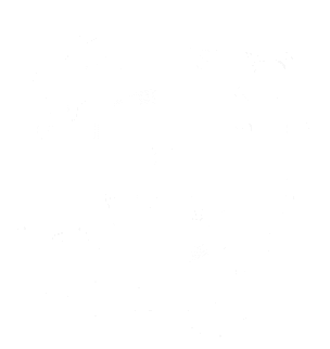 Google ads video sertifikatas