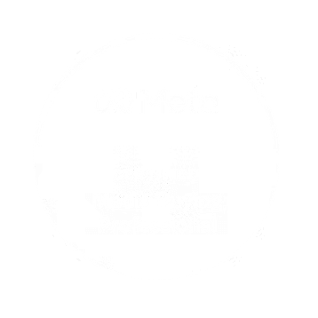 Meta Media buying professional sertifikatas