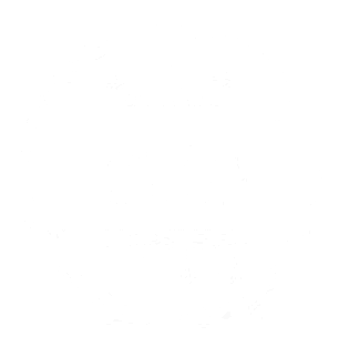 Youtubė champion sertifikatas